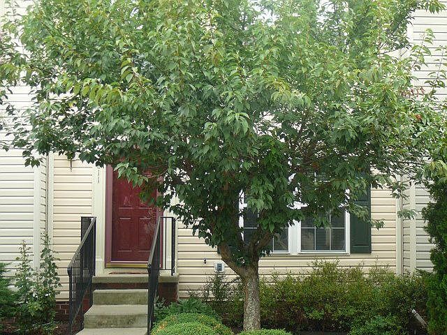 1st image of 2811 Queensland Dr