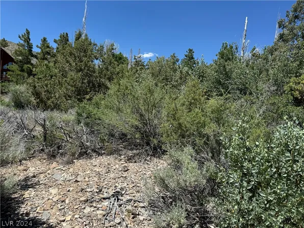 N Trout Canyon Rd, Las Vegas, NV 89124