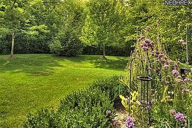4th image of 29355 Hummingbird Cir #12