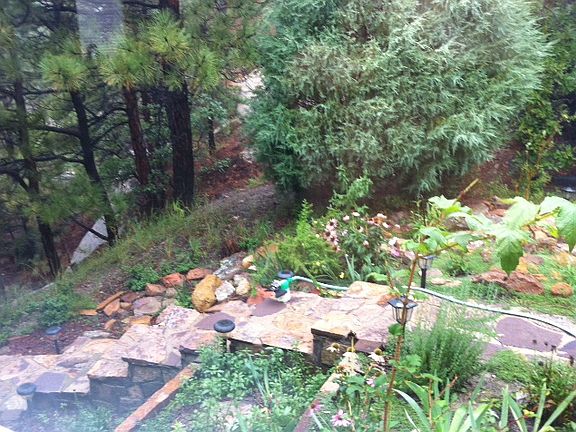 Summer Landscaping