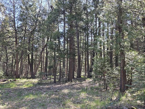 4th image of LOT 16 Arbor Ln