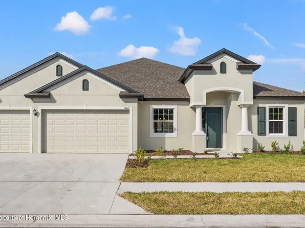 14421 Nonna Sky Dr, Spring Hill, FL 34609