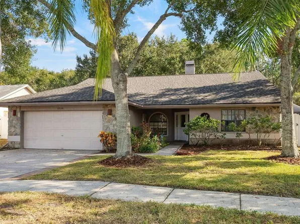 12030 Steppingstone Blvd, Tampa, FL 33635