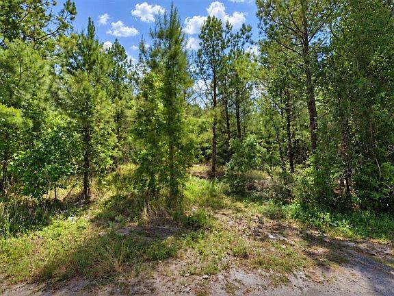3rd image of 207 OAK LANE RUN LOT 4