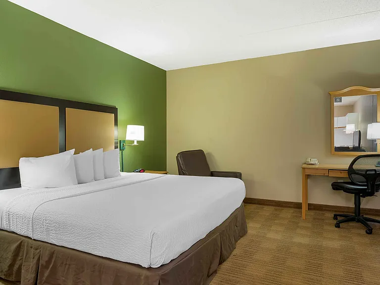 Studio Suite - 1 King Bed