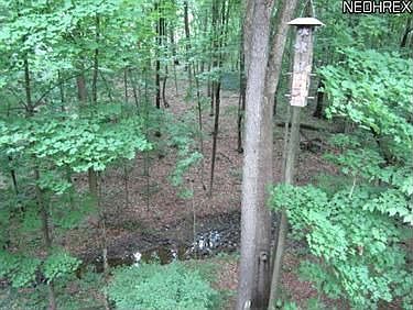 2nd image of 1565 Wedgewood Way
