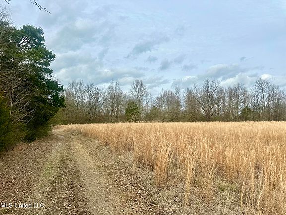 3rd image of 6525 Ebenezer Pickens Rd