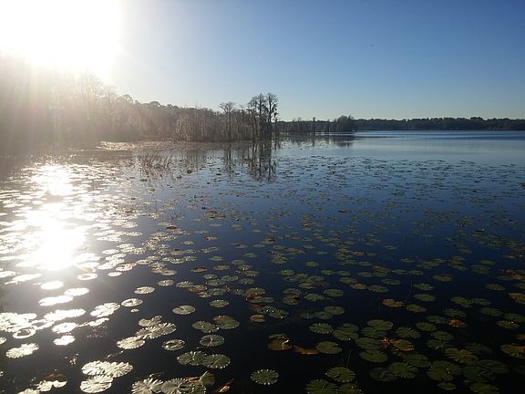 5th image of 320 NW Scenic Lake Dr