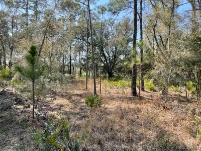 9064 N Cavewood Ave, Crystal River, FL, 34428