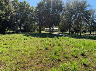 33608 Mandrake Rd, Wesley Chapel, FL 33543