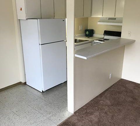 2nd image of 4131 11th Ave NE APT 503