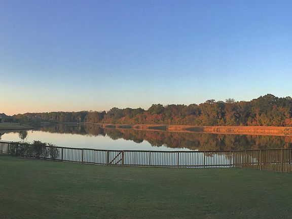 lake and back yard1