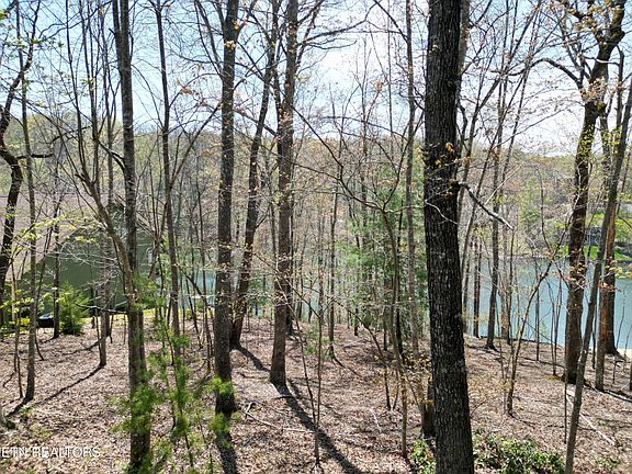 2nd image of 134 Chatham Ln Lot 46
