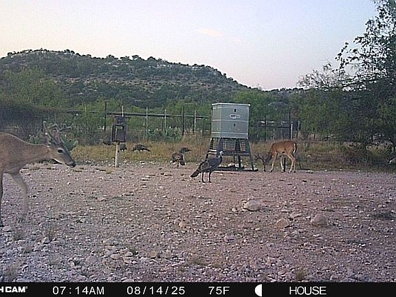 5th image of Highway 349