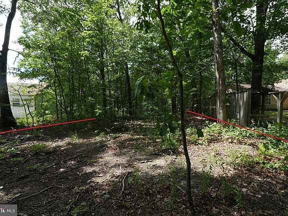 4th image of 1917 S Timber Ridge Rd