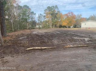 124 Tasha St, Sneads Ferry, NC 28460