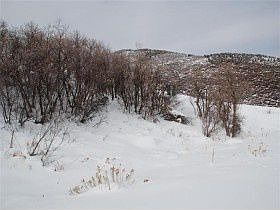 3rd image of 2828 Deer Pointe Dr