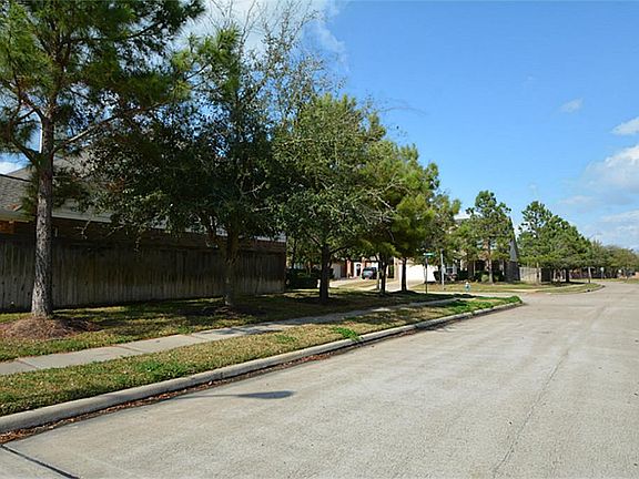 Amazing Area!  Look how stunning the street is!  When you walk out of your door no one looking at you , private!  lot!  Cinco ranch Lifestyle has Tennis Courts, Children's Garden, The Water Park, Beach Club, Higher Education & More!