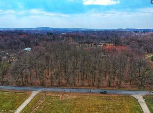 Saxe Rd, Mogadore, OH 44260