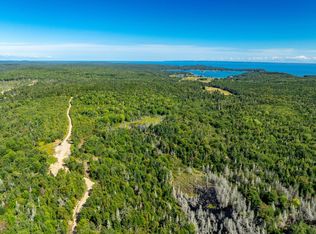 Map 2 Lot 45,46,55  #Jones Road, Trescott Twp, ME 04652