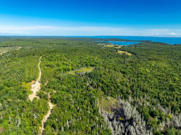 Map 2 Lot 45,46,55, Trescott Twp, ME 04652