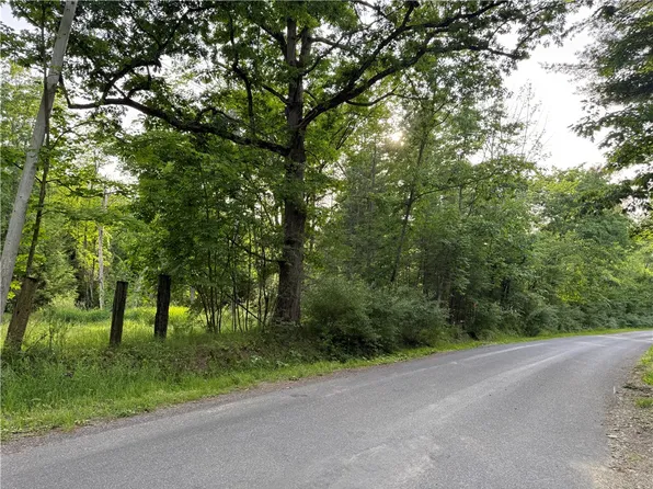 Cronk Hill Rd Lot 33, Fillmore, NY 14735