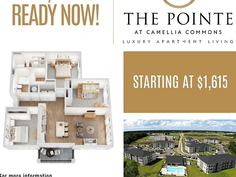 The Pointe at Camellia Commons — Photo 9