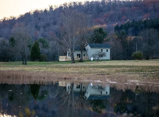 460 Laurel Hill Rd, Erin, NY 14838