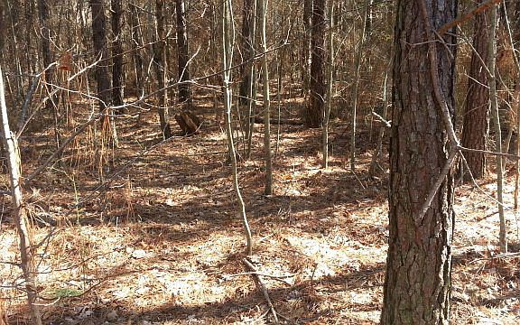 5th image of Ridge Wood Ln