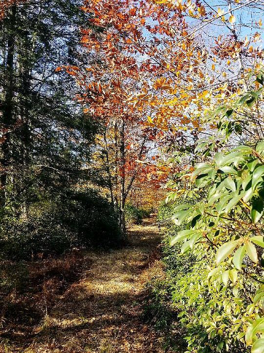 0 Rd, Napanoch, NY 12458 Zillow