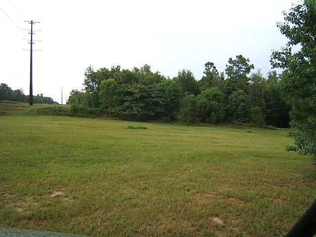 2nd image of 264 Foxtail Ave
