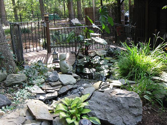 It's a tropical backyard