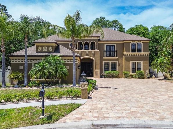 14809 Ninebark Ct, Land O Lakes, FL 34638