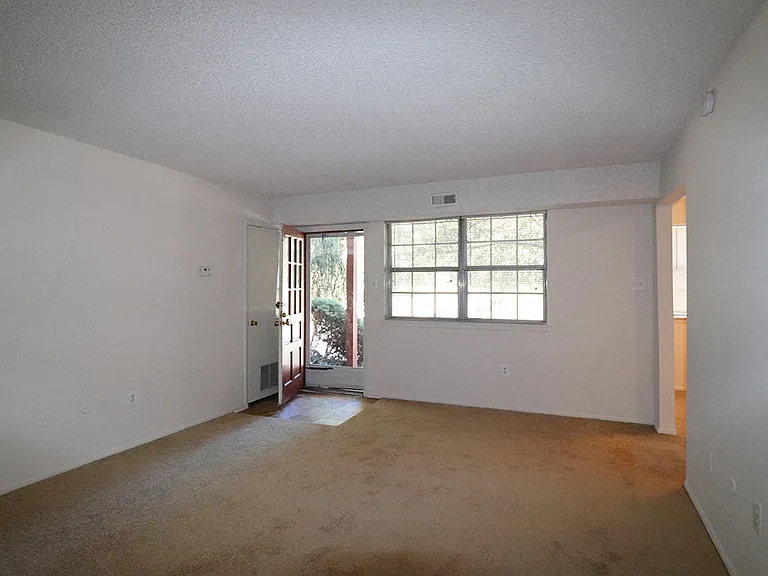 Large living spaces