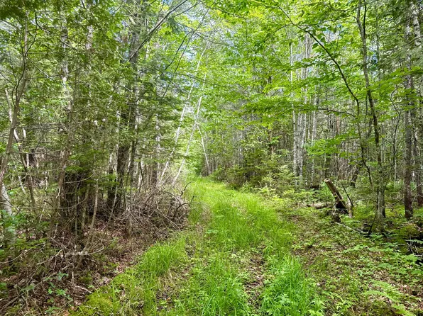 M2L12 Wellington Road, Harmony, ME 04942