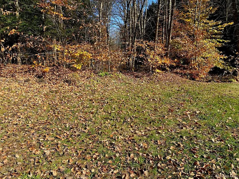 141 Gale Rd — Photo 18