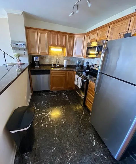 1636 N Wells St #2704 — Photo 2