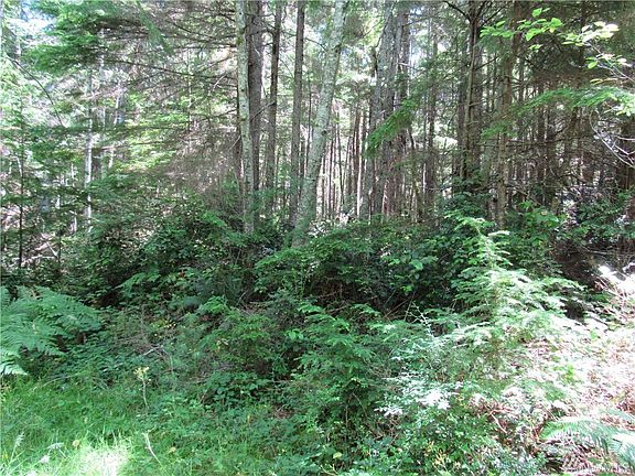 5th image of 4 .88acres Nw Larson Ln