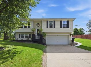 1065 Wadsworth Rd, Medina, OH 44256