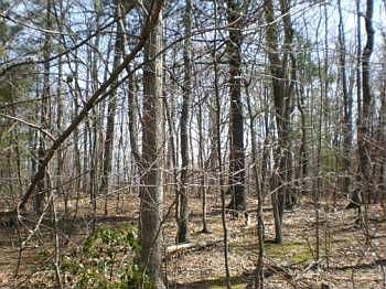 1st image of 102 White Pine Dr SE