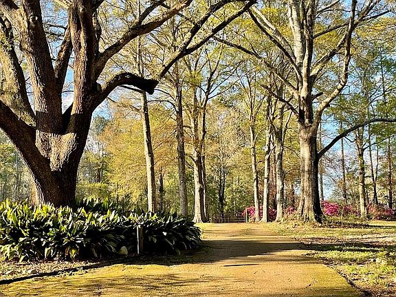 4th image of 40074 Archie Wallace Rd