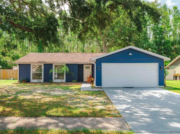 5346 Black Pine Dr, Tampa, FL 33624