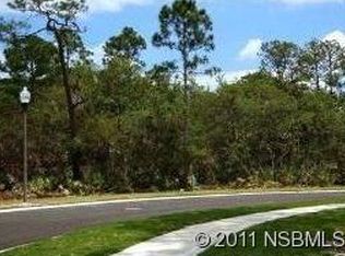 2667 Old Smyrna Trl, New Smyrna Beach, FL 32168