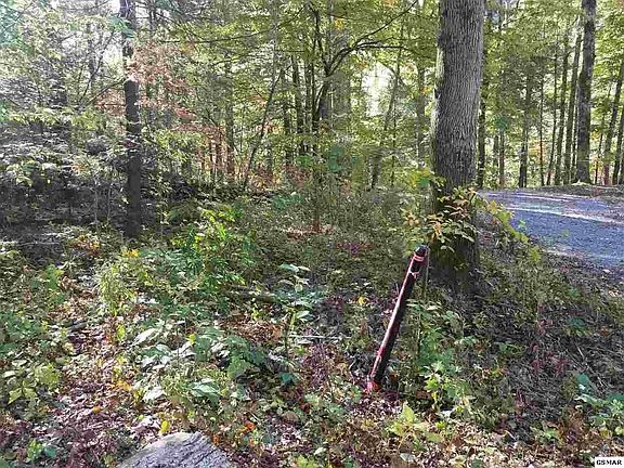 3rd image of 2 Low Gap Rd Lot 2-R