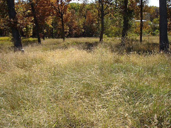 5th image of LOT 9 Johnson St
