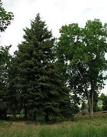 4th image of 2 Brookside Dr