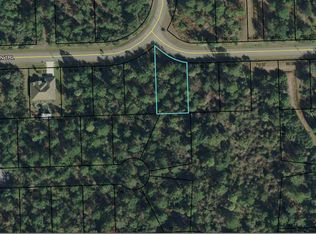 175 Ulysses Trl, Palm Coast, FL 32164
