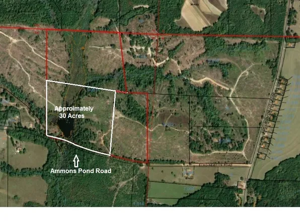 Ammons Pond Rd, Midland City, AL 36350