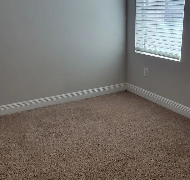 5534 Spanish Moss Cv — Photo 20