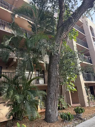 1540 Riverside Dr Photo 1
